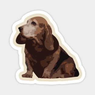 Chocolate Basset hound Magnet