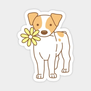 Jack Russel Terrier Magnet