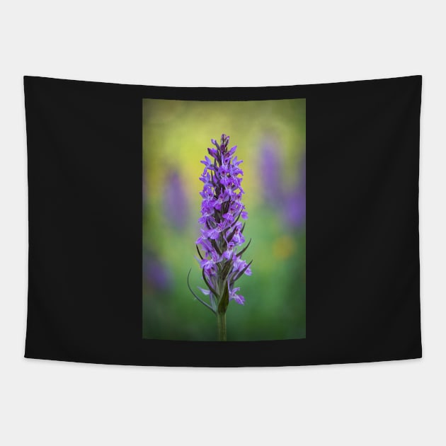 Northern Marsh Orchid Tapestry by TonyNorth