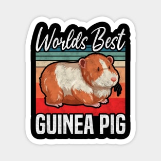 Worlds Best Guinea Pig, Rodents Lover and owner Magnet