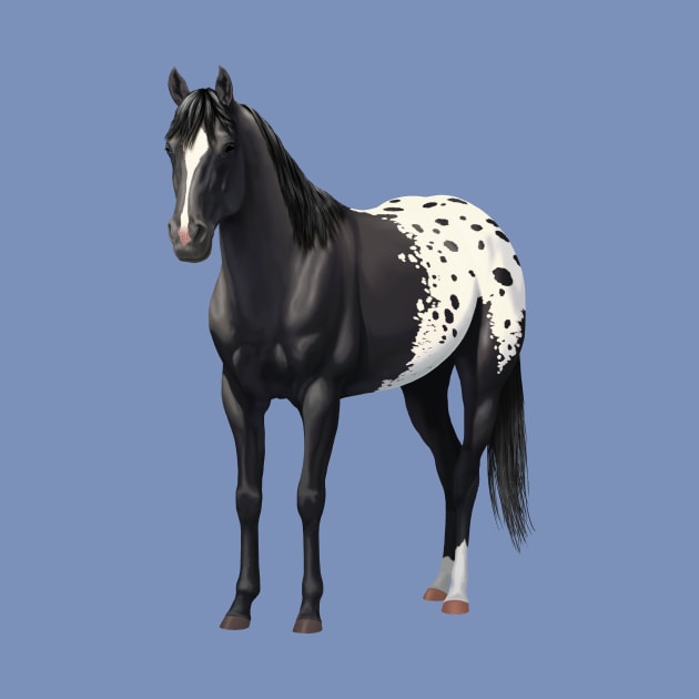 Black Quarter Horse Stallion Appaloosa by csforest