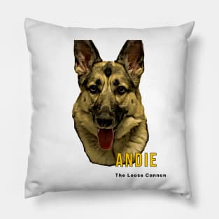 Andie- The Loose Cannon Pillow