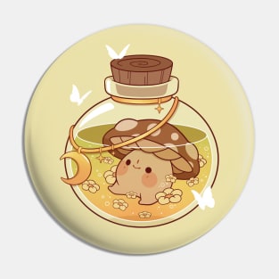 Dreamy mushroom potion Pin