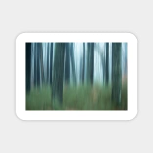 Blurred abstract trees in forest on foggy morning Magnet