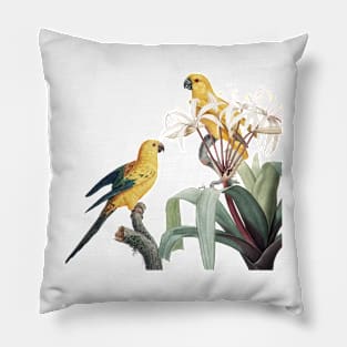 Parrot Bird Wildlife Painting Pillow