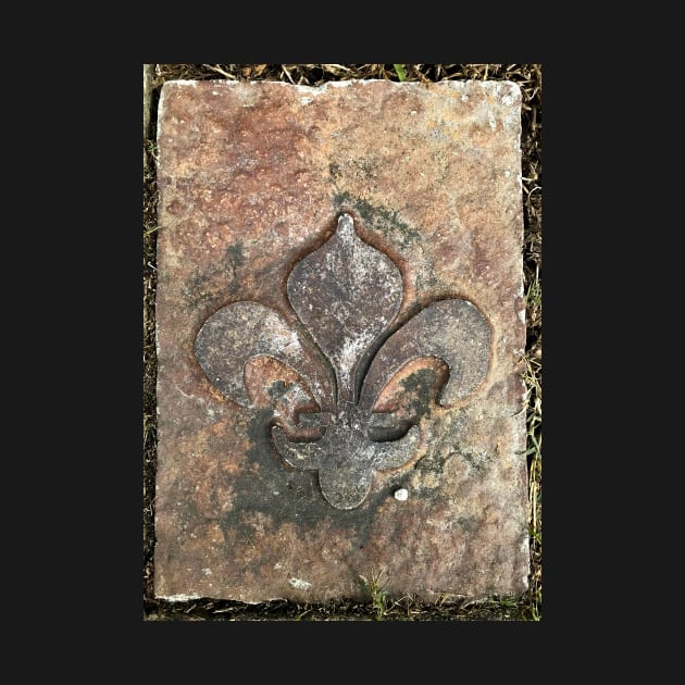 Fleur de Lis adjacent to the sidewalk by Steves-Pics