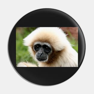 White Handed Gibbon Pin