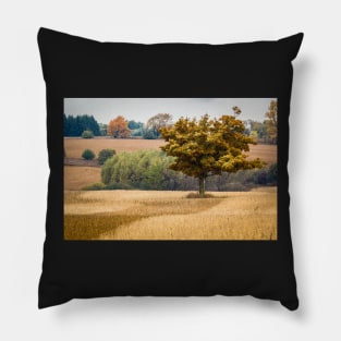 Fall Tree In Field Pillow