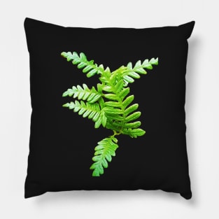 Fern Frond Fresh and Green Pillow