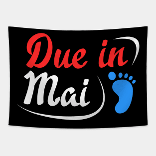 Due in May pregnancy Announcement Tapestry