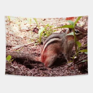 Chipmunk Tapestry