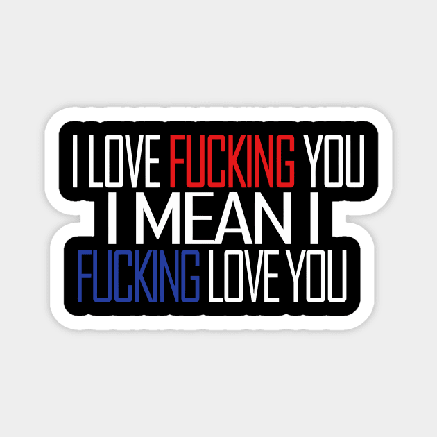 I LOVE FUCKING YOU I MEAN I FUCKING LOVE YOU Magnet by aografz