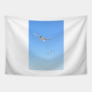 Flock of seagulls flying in the blue sky Tapestry