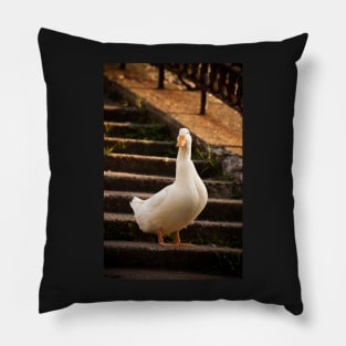 duck pattern Pillow