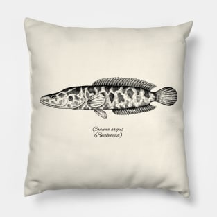 CHANNA ARGUS Pillow