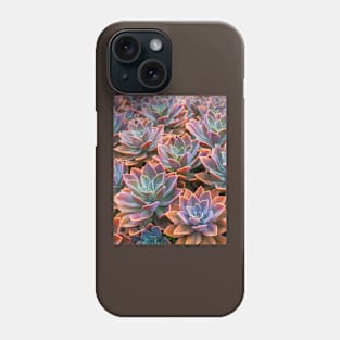 Echeveria Phone Case