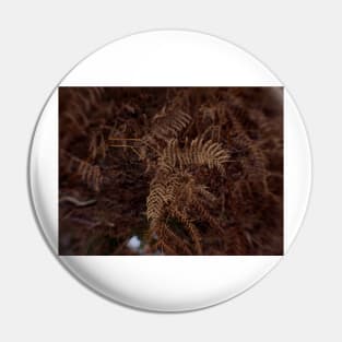 Ferns In Winter Pin