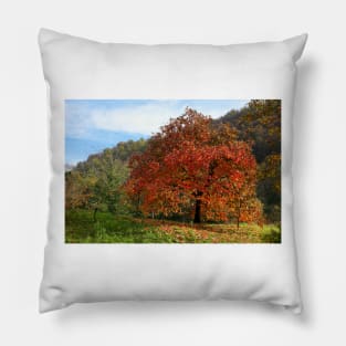 The old persimmon Pillow