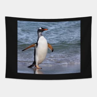 Gentoo penguin back from fishing Tapestry