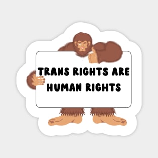 trans rights are human rights bigfoot Magnet