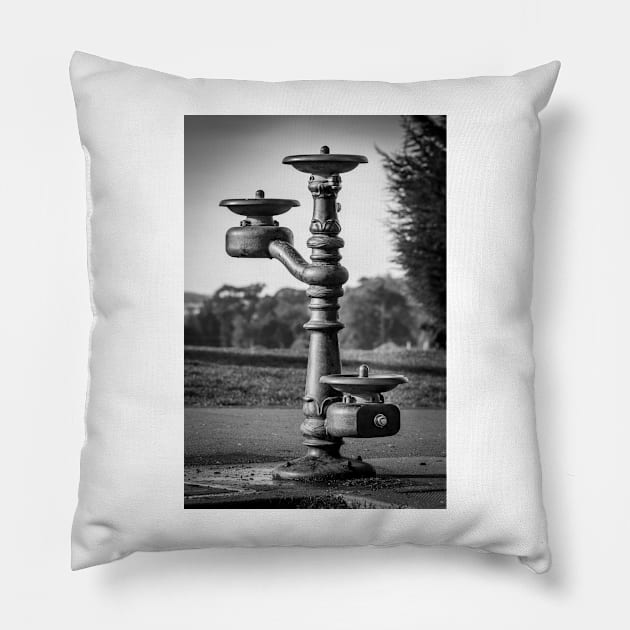 Classic Water Fountain 2 Pillow by Robert Alsop