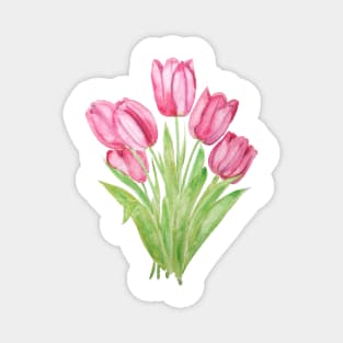 pink tulips watercolor Magnet