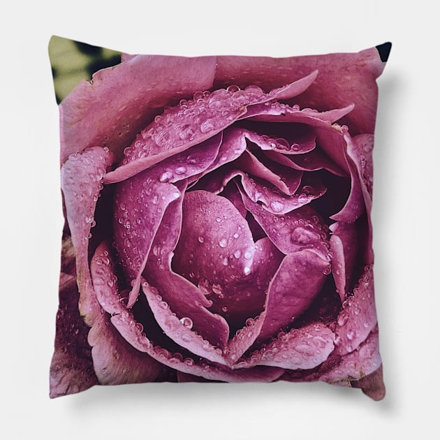 Pink rose Pillow by RobertsArt