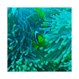 Sea Anemone and Fish T-Shirt