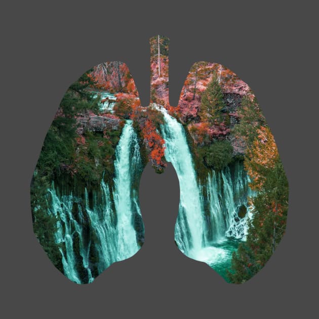 Water fall in Lungs design by Aziz