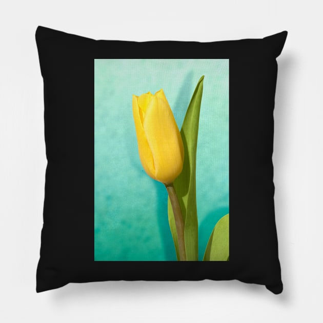 Yellow Tulip Pillow by GosiaOwczarz