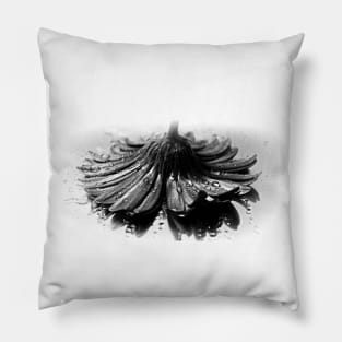 Flower #2 in Black and White. Pillow