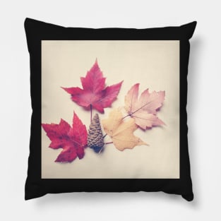 Autumn Leaves Still Life Pillow