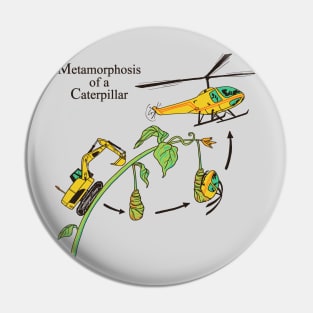 Metamorphosis of a Caterpillar Pin