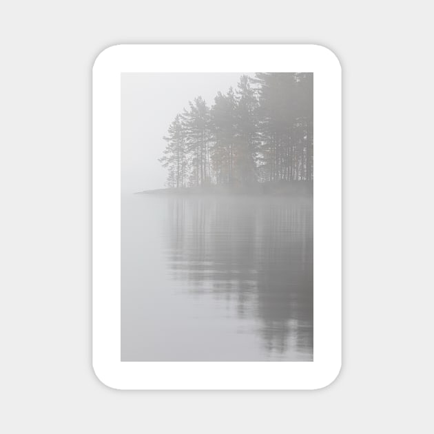 Trees reflection at lake foggy morning Magnet by Juhku