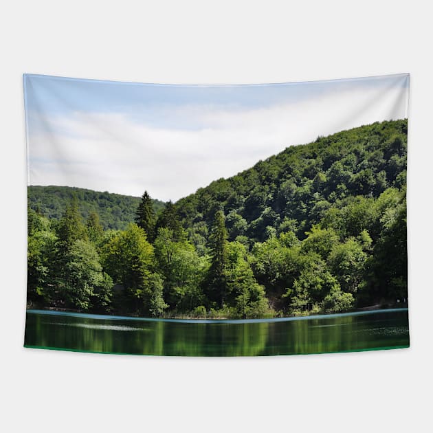 Forest over the lake with reflections Tapestry by KargacinArt