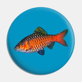 Odessa Barb Pin