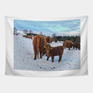 Scottish Highland Cattle Cows and Calves 1607 Tapestry