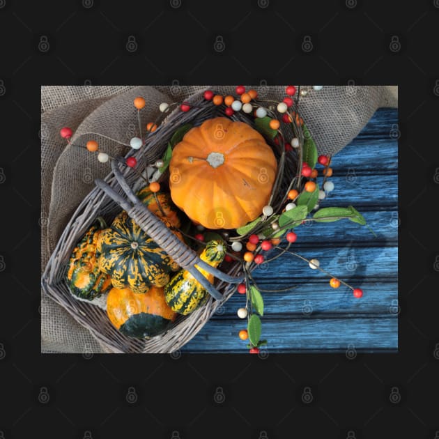 A basket of pumpkins in the fall season with fall decoration. by ikshvaku