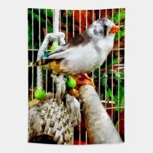 Birds - Zebra Finch Tapestry