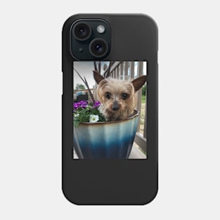Ella Miniature Yorkshire Terrier :: Canines and Felines Phone Case