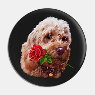 Cavapoo cavoodle with red rose - Cavapoo puppy dog  - cavalier king charles spaniel poodle, dog Valentine’s day Pin