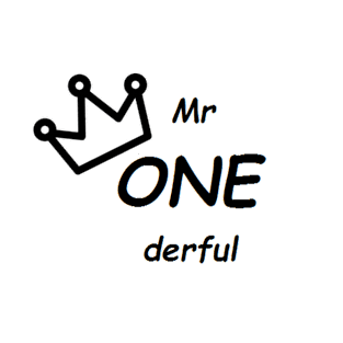 Mr one derful T-Shirt