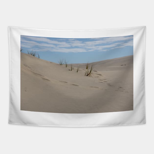 Sand dunes. Tapestry by sma1050