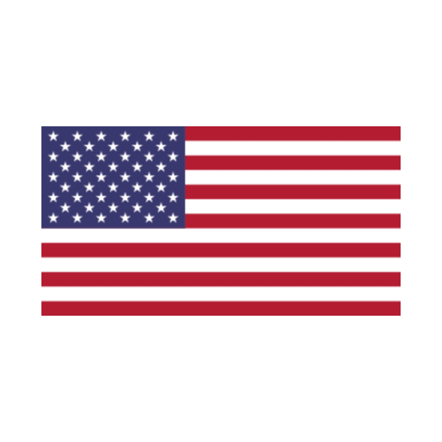 USA Flag by blazineclothing
