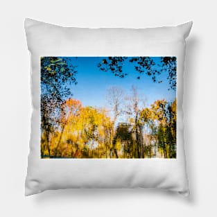 Psychedelic Autumn Pond Pillow