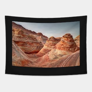 The Wave at Coyote Buttes North Tapestry