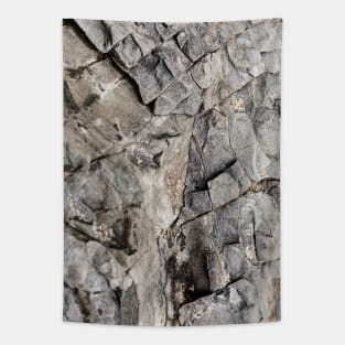 Tiny Squares Chissled Into Rock Formation Tapestry