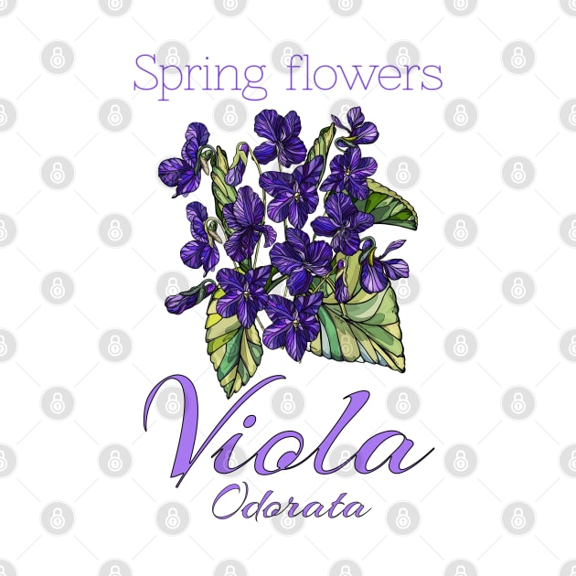 Viola-Vintage Viola -Spring Flowers Viola Odorata by KrasiStaleva