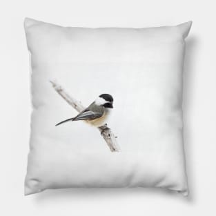 Algonquin Chickadee Pillow