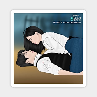 The Story Of Park Marriage Contract Korean Drama Magnet